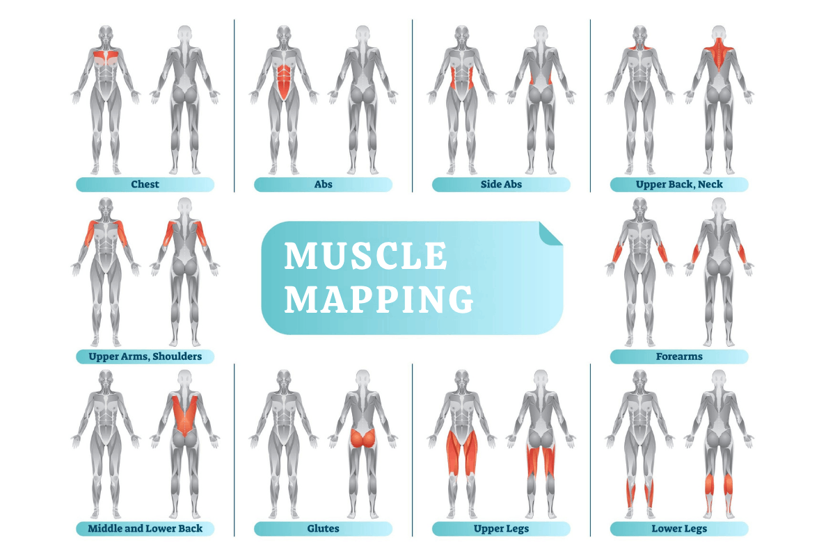 muscle mapping Louisville KY